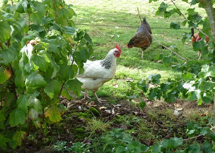 La Crepelliere Villedieu-les-Poëles